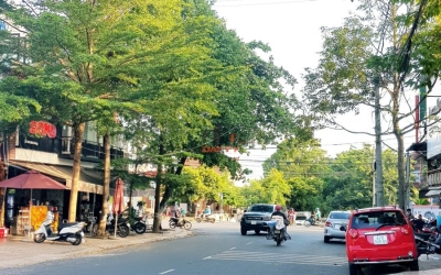 Nhà mặt tiền trung tâm khu phố cổ Trần Bình Trọng