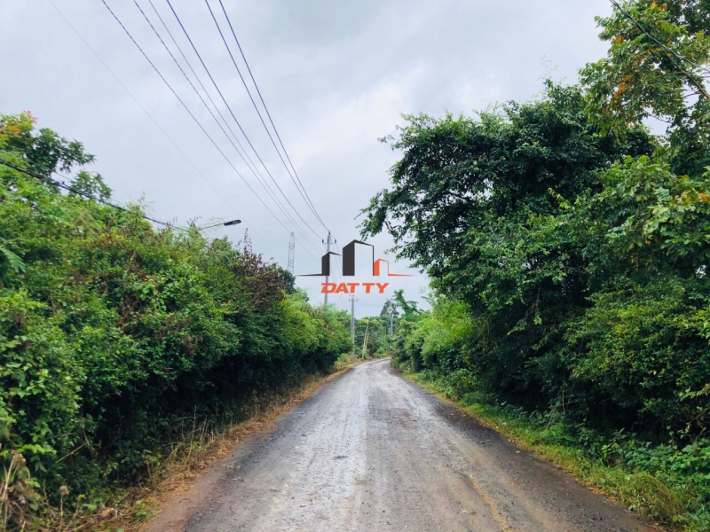 Lô Đất Đẹp Đầu Ea nuôl, chỉ cách đường Nguyễn Thị Định 100m.