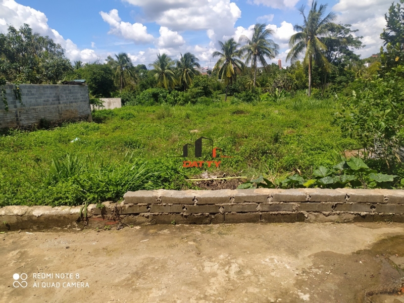 Bán lô đất xây nhà vườn hẻm 97 Tây Sơn – P. Tân Thành