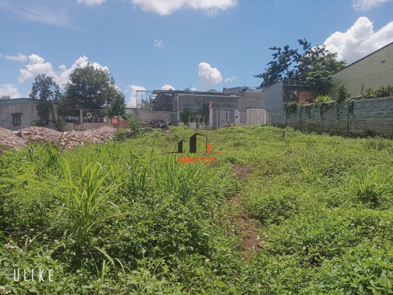 Bán lô đất xây nhà vườn hẻm 97 Tây Sơn – P. Tân Thành