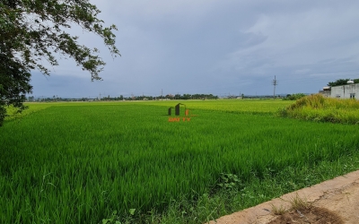 Bán lô View cánh đồng phường Khánh Xuân gần đường Tố Hữu