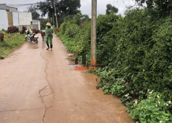 Bán hơn 1 sào đất tại hẻm 7 đường 10/3 gần dự án Nam Sơn