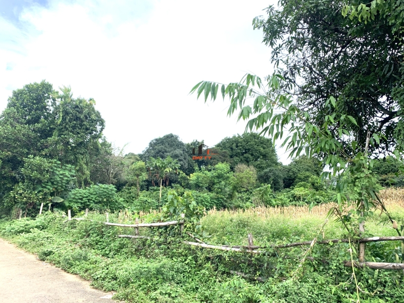 15m đất sau lưng trường Nguyễn Trường Tộ