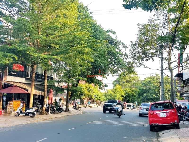Nhà mặt tiền kinh doanh khu phố cổ Trần Bình Trọng