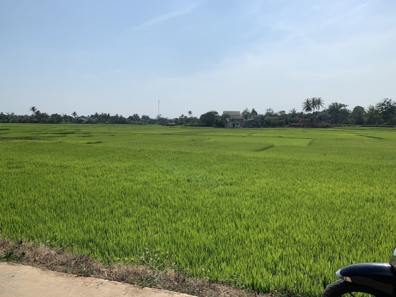 Bán 2.2 sào đất mặt tiền 37m Nguyễn Trường Tộ giá 10.5 tỷ có thương lượng