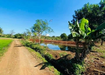 Lô Đất Sau Chợ Ekao Cách YWang 200M – View Cánh Đồng Chuẩn Đẹp Giá 1.550 tỷ .