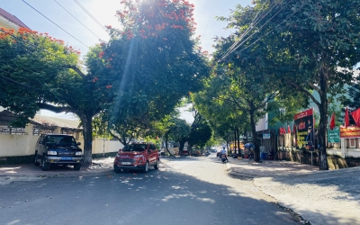 10 mét mặt tiền Nguyễn Cư Trinh – phường Tự An