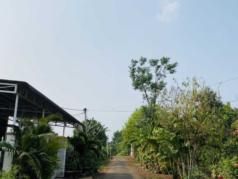 Bán đất gần chợ xã Hoà Phú – Tp. Buôn Ma Thuột