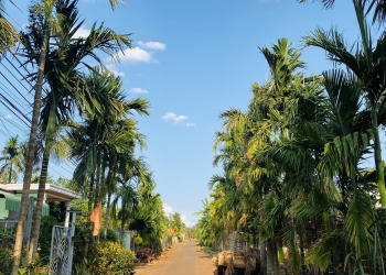 Bán đất kèm nhà thôn 1 xã Hoà Thuận – tp.Buôn Ma Thuột