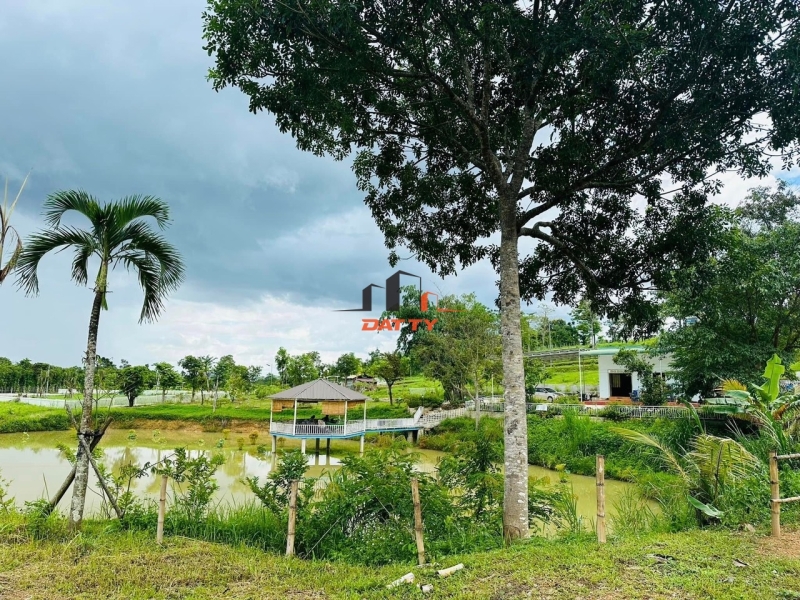 Cần Bán 4ha View Nhà Vườn Nghỉ Dưỡng Xã Eakao – Giá 8 tỷ