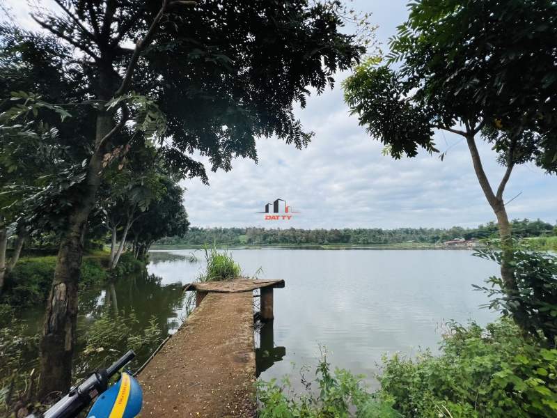 Bán nhà vườn view trực diện hồ Ông Giám – Trần Quý Cáp – P. Tân Lập – 7x40m – Giá 2,5 tỷ