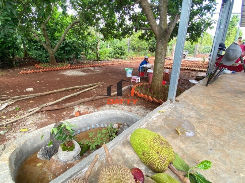 Bán nhà vườn khối 15 Phường Khánh Xuân – Tp BMT