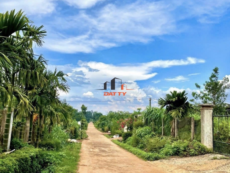 💥 Hot, Chỉ 250tr có lô đất siêu đẹp đường bê tông thông thoáng dân cư đông Xã Bình Thuận