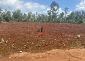 Bán đất gần UBND xã Cư Suê – liên thôn giá chỉ 385tr bơt lộc