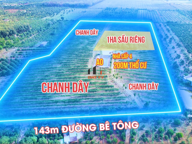 Chuyển nhượng 5ha Sầu riêng và chanh dây tại Ea Hdinh, Cư Mgar giá 12 tỷ